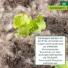 Schafwoll-Noppen als Dünger, 200g Produktbild-Vorschau 5