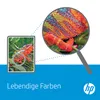 HP 336, Standardowa wydajność, Czarny, Tusz na bazie Podgląd zdjęcia produktu 13