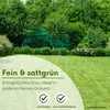 Samenshop24® Härtlicher Schwingel/ Schafschwingel festuca Produktbild-Vorschau 3