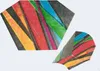 Sled Kite, mit Segel aus Polyester, mit Griff Schnur und Produktbild-Vorschau 3