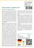 SAFLAX - Gelbe Strelitzie - Mandelas Gold - Strelitzia Produktbild-Vorschau 3
