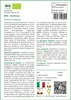 SAFLAX  -- Acetosa - 400 semi - Rumex Anteprima dell’immagine prodotto 3
