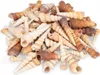 A pile of small, spiral-shaped seashells. Produktbild-Vorschau