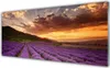 Acrylglasbilder 125x50 Wandbild Druck Gebirge Wiese Blumen Produktbild-Vorschau 1