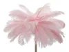 Lámpara de pie "Pink Palm" – Lámpara de pie de 3 bombillas Vista previa de la imagen del producto 2