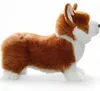 Carl Dick Corgi chien env. 35cm de long, env. 25cm de haut Voir les images du produit 4