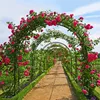 Speed rose arch 240x140x38cm kovová pergola pro šplhání / Náhled obrázku produktu 8
