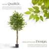 tectake® Künstlicher Ficusbaum Fida verschiedene Größen Produktbild-Vorschau 3
