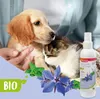 BEAPHAR Spray pettinabile biologico, 200 ml Anteprima dell’immagine prodotto 2