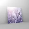 Bilder auf glas - Schmetterling Wiese Blume - 70x70cm - Produktbild-Vorschau 4