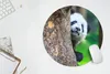 MuchoWow® Mauspad Mousepad Panda - Baum - Wald 50x50 cm - Produktbild-Vorschau 5
