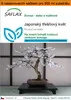SAFLAX Garden in the bag - Japonský třešňový květ - Prunus Náhled obrázku produktu 1
