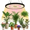 A collection of houseplants under a grow light. Náhľad obrázku produktu