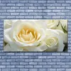 Glasbilder 140x70 Wandbild Druck auf Glas Roses Pflanzen Produktbild-Vorschau 2