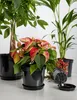 Pot de fleurs Garronda GD-0025 (1 pièce - noir, ⌀ 15 cm, H Voir les images du produit 5