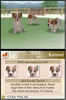 A digital image showing a video game interface with dogs and text options. Produktbild-Vorschau