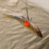 Zeck DB Bait Flag - 20 künstliche Fischflossen Produktbild-Vorschau 3