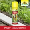 Neudorff Spruzit SchädlingsSpray 400ml anwendungsfertig, Produktbild-Vorschau 5