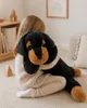 Sweety Toys 5512 XXL Gigante Rottweiler Peluche Cane - Anteprima dell’immagine prodotto 1
