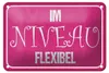Blechschild Spruch 18x12cm Im NIVEAU flexibel Produktbild-Vorschau 1
