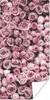 MuchoWow® Poster Blumen - Rosen - Natur - Rosa - Botanisch Produktbild-Vorschau 1