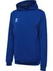 Hummel Authentic PL Kapuzen Sweatshirt Unisex, grün, XS, Produktbild-Vorschau 6