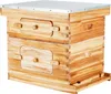 SucceBuy Bienenstock-Starterset mit 20 Rahmen, mit Produktbild-Vorschau 1