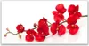 Glasbilder 120x60 Wandbild Druck auf Glas Blumen Pflanzen Produktbild-Vorschau 1