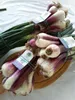 Tropea Rote Zwiebel g.g.A. Kalabrien (2 KG) - frische Produktbild-Vorschau 1