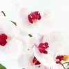 Umělá květina orchidej phalaenopsis 3D-tisk v keramickém Náhled obrázku produktu 4