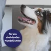 Canosept Zahnpflege Spray für Hunde 100 ml Produktbild-Vorschau 4
