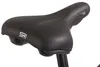 E-Citybike Herren 28'' Hollandia Zagon Grau 6 Gänge Produktbild-Vorschau 10