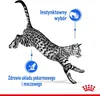 ROYAL CANIN Indoor Sterilised W Galaretce 12x85g Podgląd zdjęcia produktu 8
