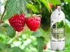 Naturdünger - Brennnessel Extra - 1L - Wachstumsfördernd - Produktbild-Vorschau 5