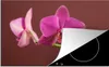 KitchenYeah© Herdabdeckplatte Blumen - Orchideen - Rosa , Produktbild-Vorschau 1