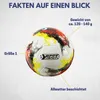 Best Sporting Mini-Fußball Nation I Schwarz-Rot-Gold I Produktbild-Vorschau 4