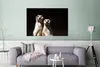 MuchoWow® Poster Schwarz - Erdmännchen - Tiere 120x80 cm - Produktbild-Vorschau 5