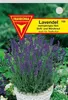 Lavendel Produktbild-Vorschau 1