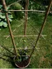 DIXIE STORE Kit de treillis en bambou pour plantes - 2S, 10 Voir les images du produit 5