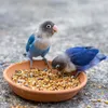 5 kg Vogelfutter, Premium-Mix für 4 Jahreszeiten, für Produktbild-Vorschau 6