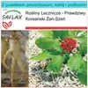 SAFLAX - Zestaw prezentowy - Prawdziwy Koreański Żeń-Szeń - Podgląd zdjęcia produktu 10