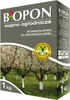 Gartenkalk zum Bäumeweißen 1kg Baumschutz und Produktbild-Vorschau 4