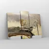Bild auf Leinwand - Leinwandbild - Afrika Leopard Katze Produktbild-Vorschau 4