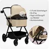 MoMi GISELLE – 2-in-1 Kombikinderwagen mit umkehrbarem Produktbild-Vorschau 5