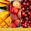 Yankee Candle Mango Peach Salsa Duftkerze 623 g Produktbild-Vorschau 17