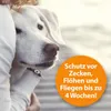 Ardap spray antizecche sugli animali Anteprima dell’immagine prodotto 6