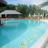 20 Stück im Wasser schwimmende künstliche Plumeria-Blumen Produktbild-Vorschau 3