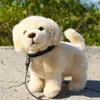 Peluche Golden Retriever Con Guinzaglio 25 Cm Eco-f. Anteprima dell’immagine prodotto 4
