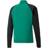 Puma Teamliga Ziptop Herren - Grün Produktbild-Vorschau 2