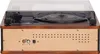 The back view of a retro-style record player. Produktbild-Vorschau